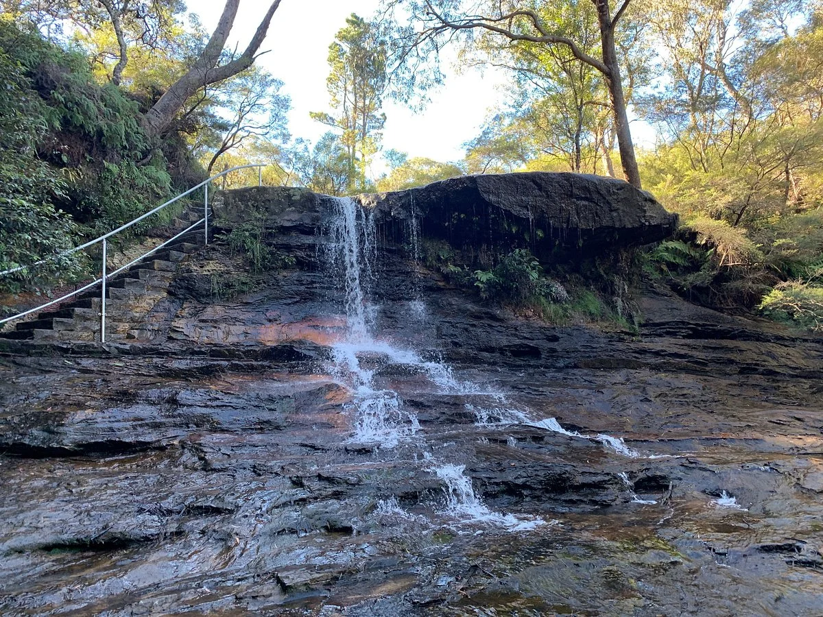 Charles Darwin walk