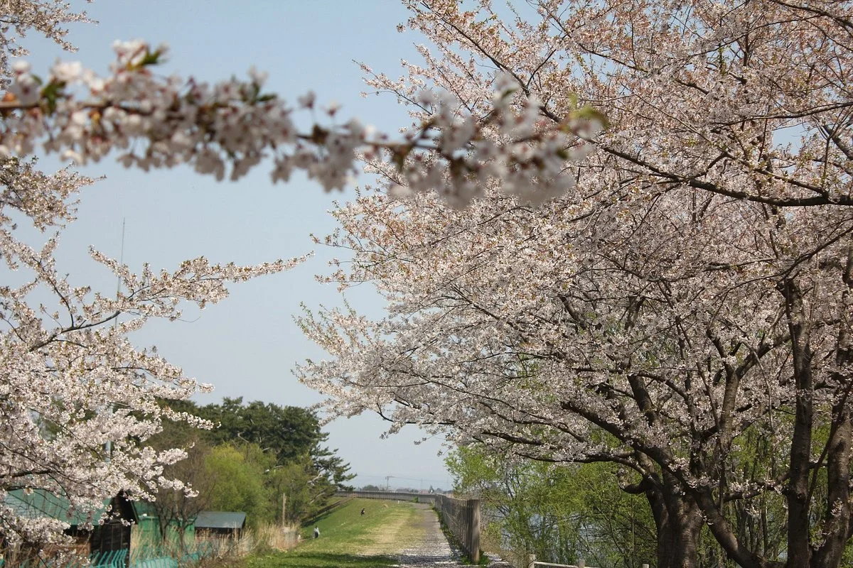 Fujimi Lake Park