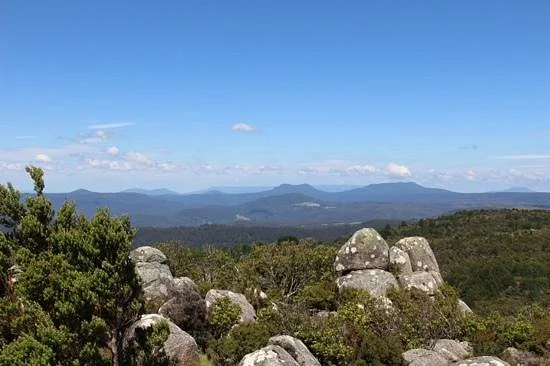 Blue Tier Forest Reserve