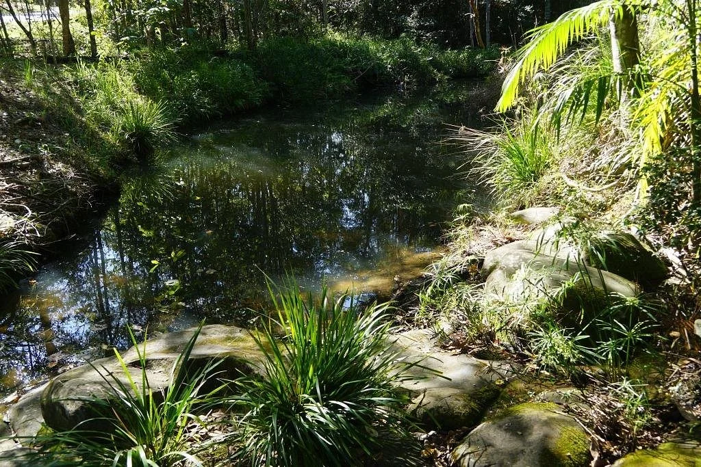 Little Rocky Creek