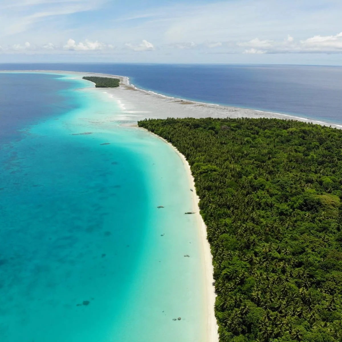 Ant Atoll