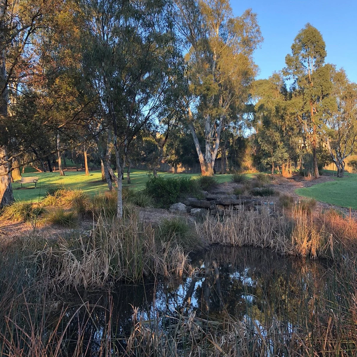 Reg Harris Reserve
