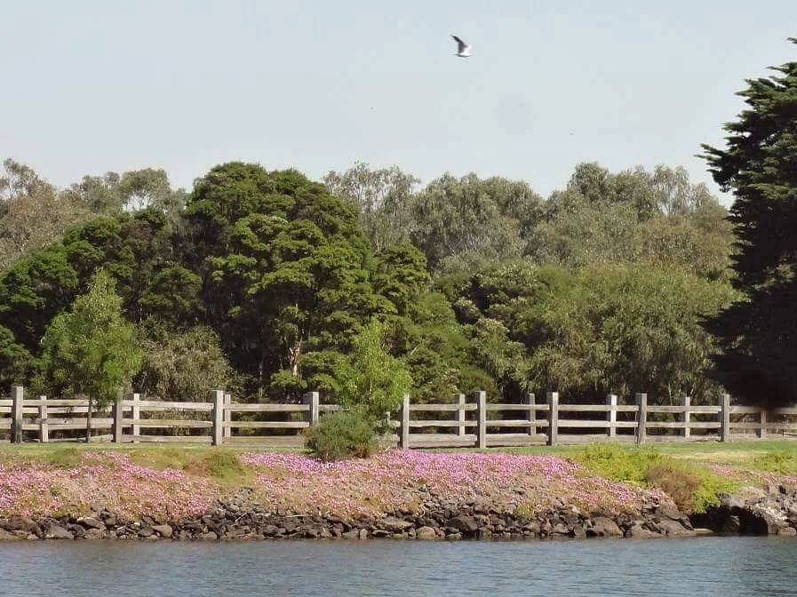 Newells Paddock Wetlands