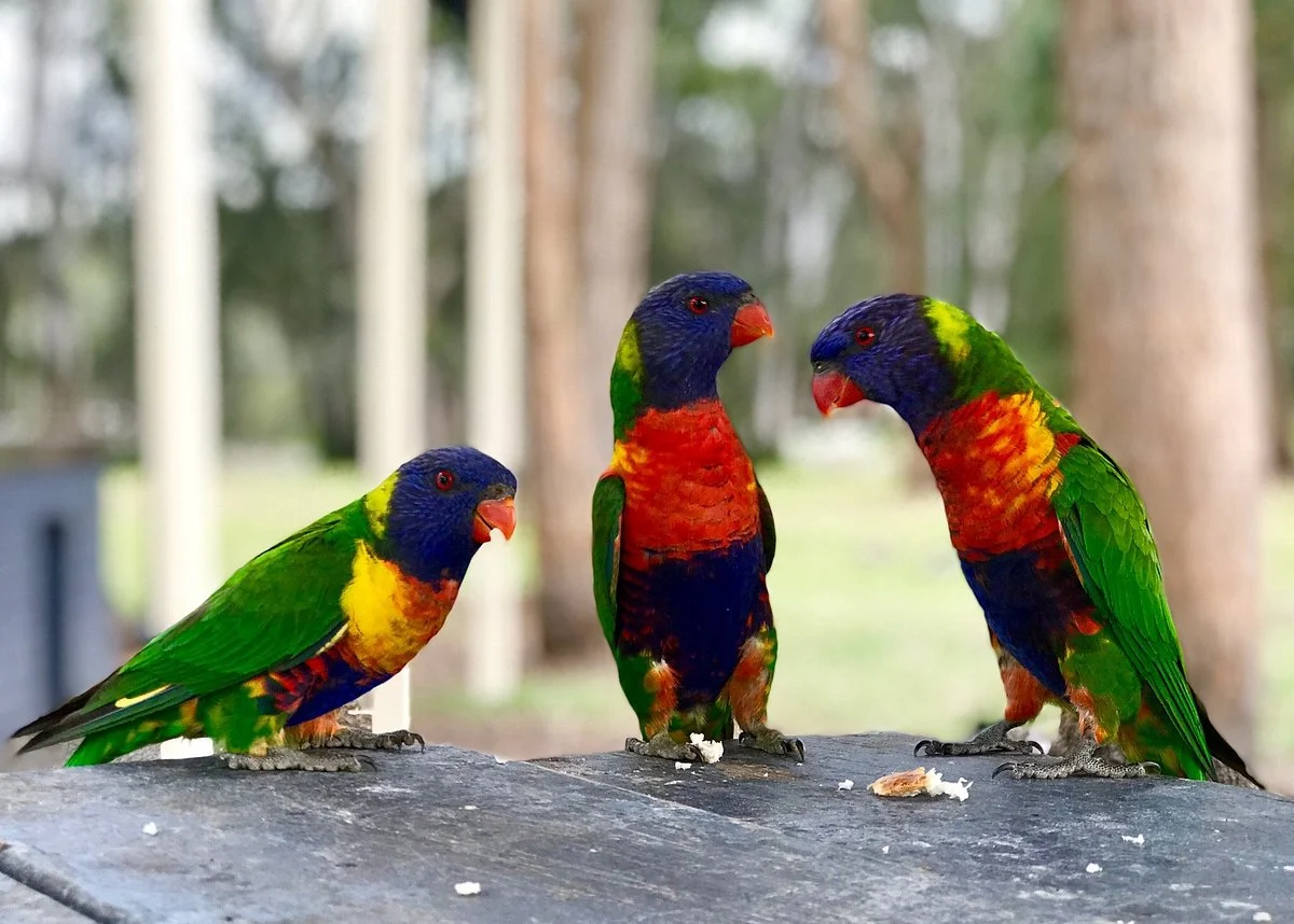Sandy Beach Reserve