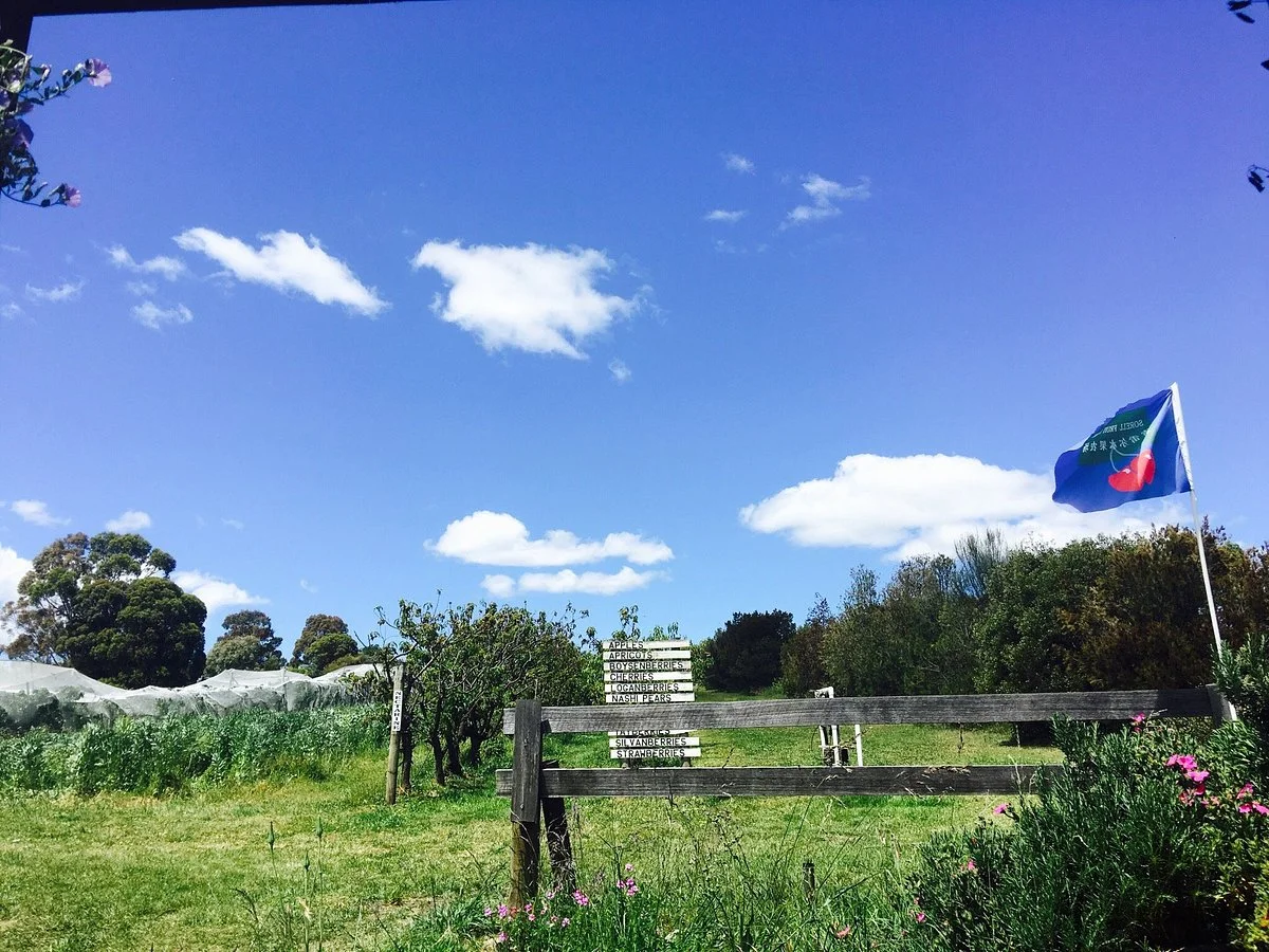 Sorell Fruit Farm
