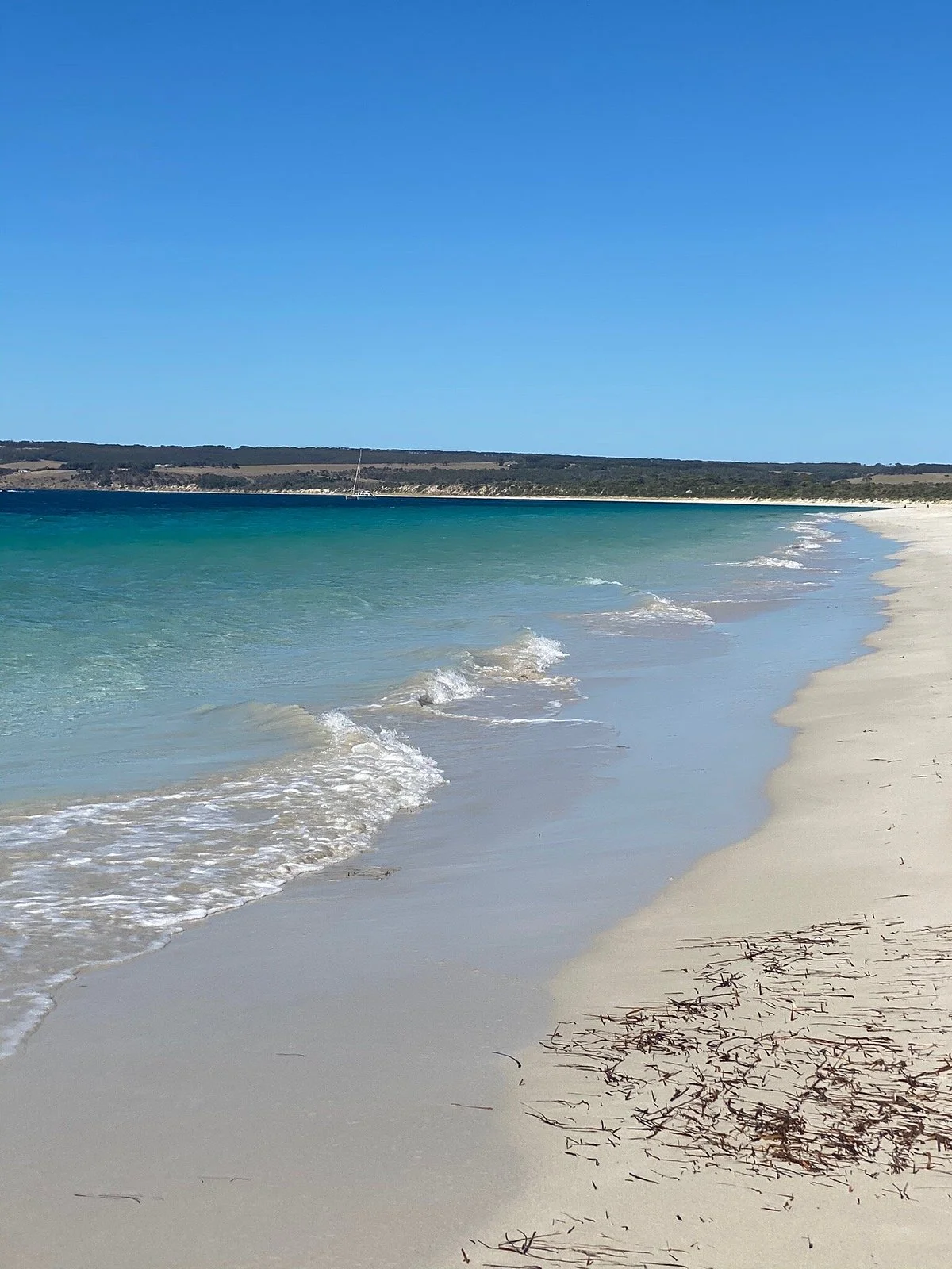Lashmar Conservation Park