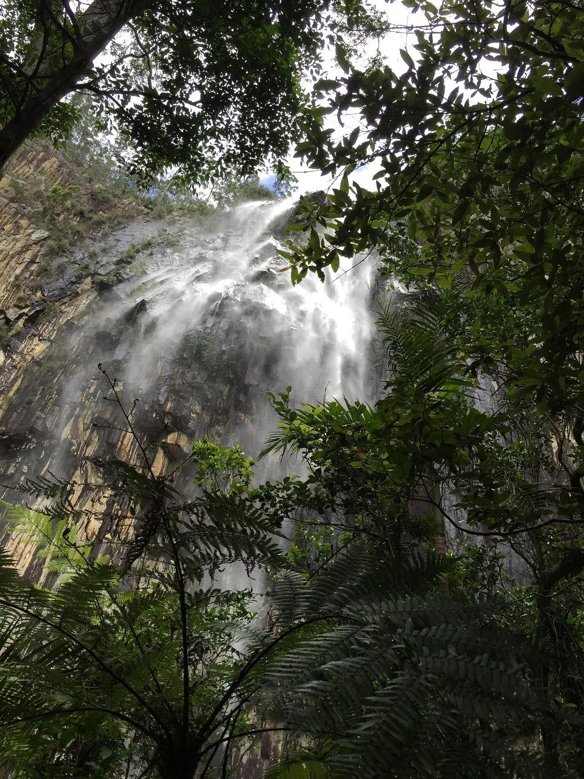 Whian Whian State Conservation Area