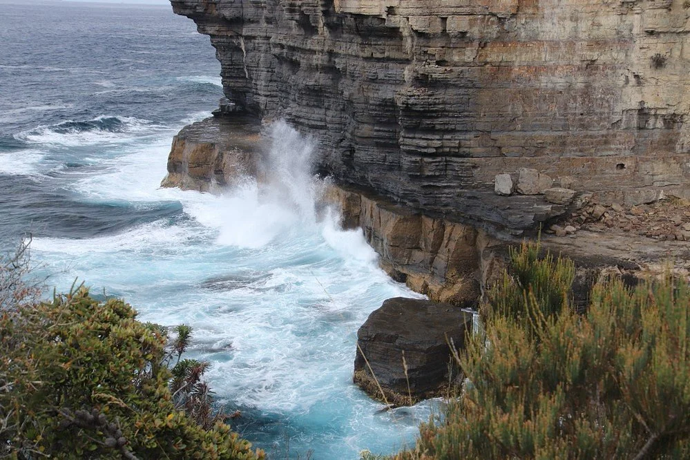 Fossil Bay Lookout