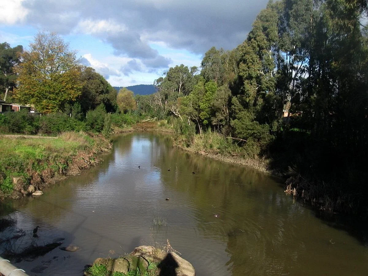 Barngeong Reserve