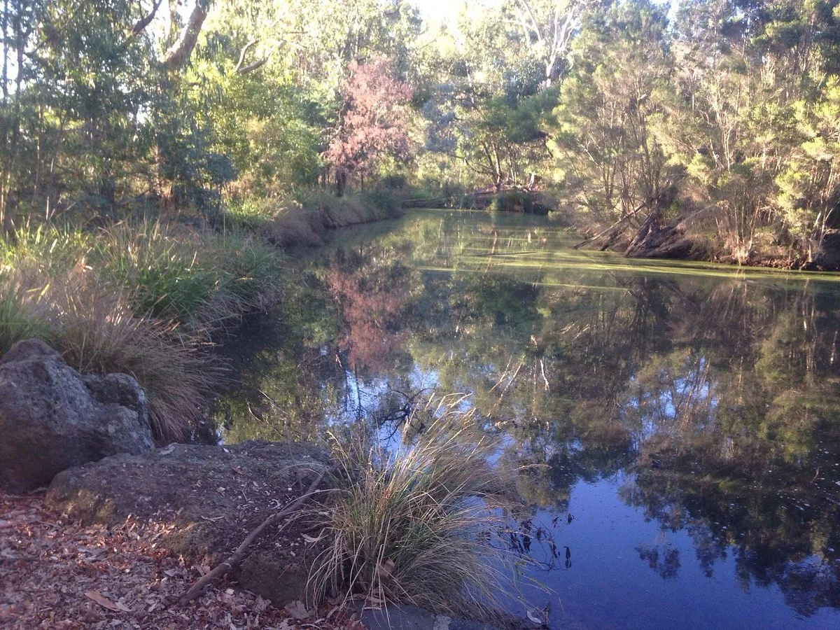 Malvern Urban Forest