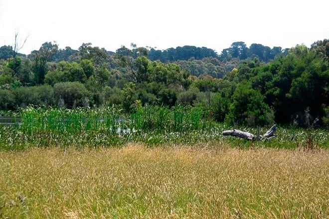 Balbirooroo Wetlands