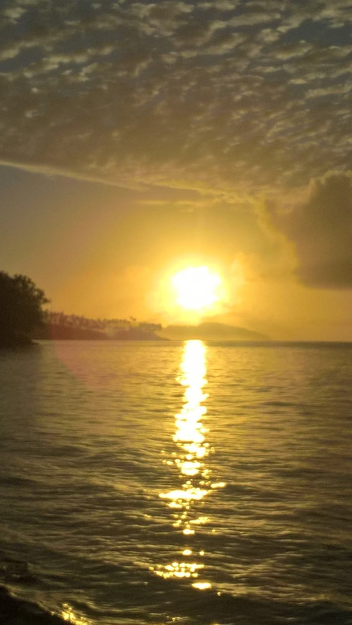 Waitabu Marine Park