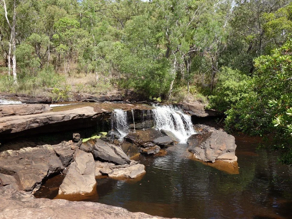 Rinyirru (Lakefield) National Park