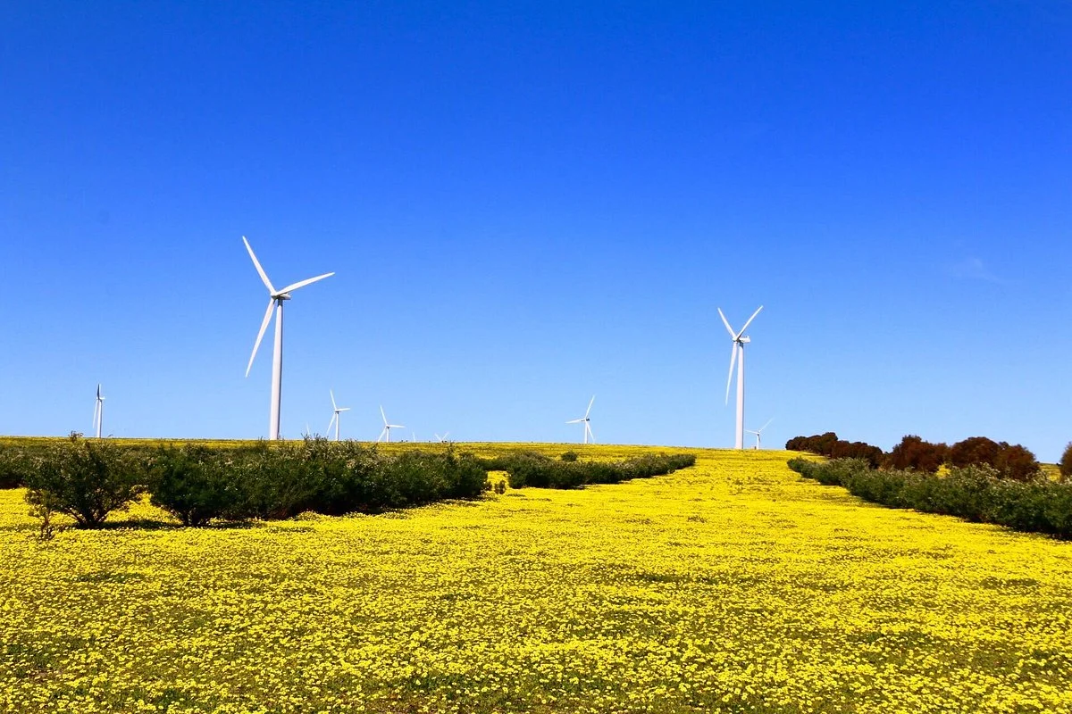 Emu Downs Wind Farm