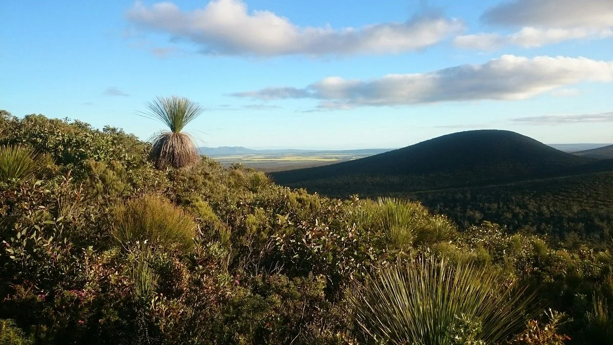 Stirling Range Drive