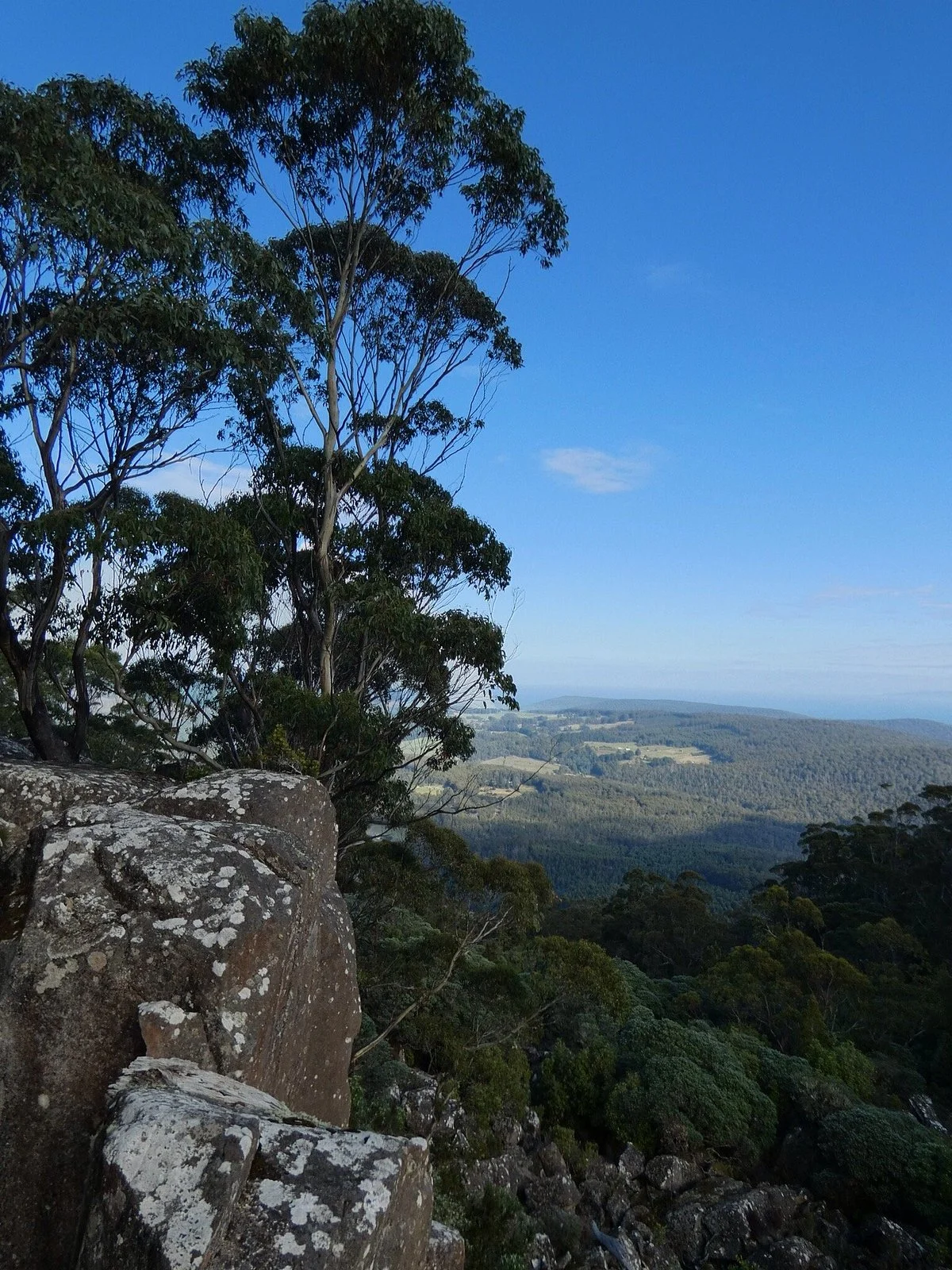 Clarks Cliffs
