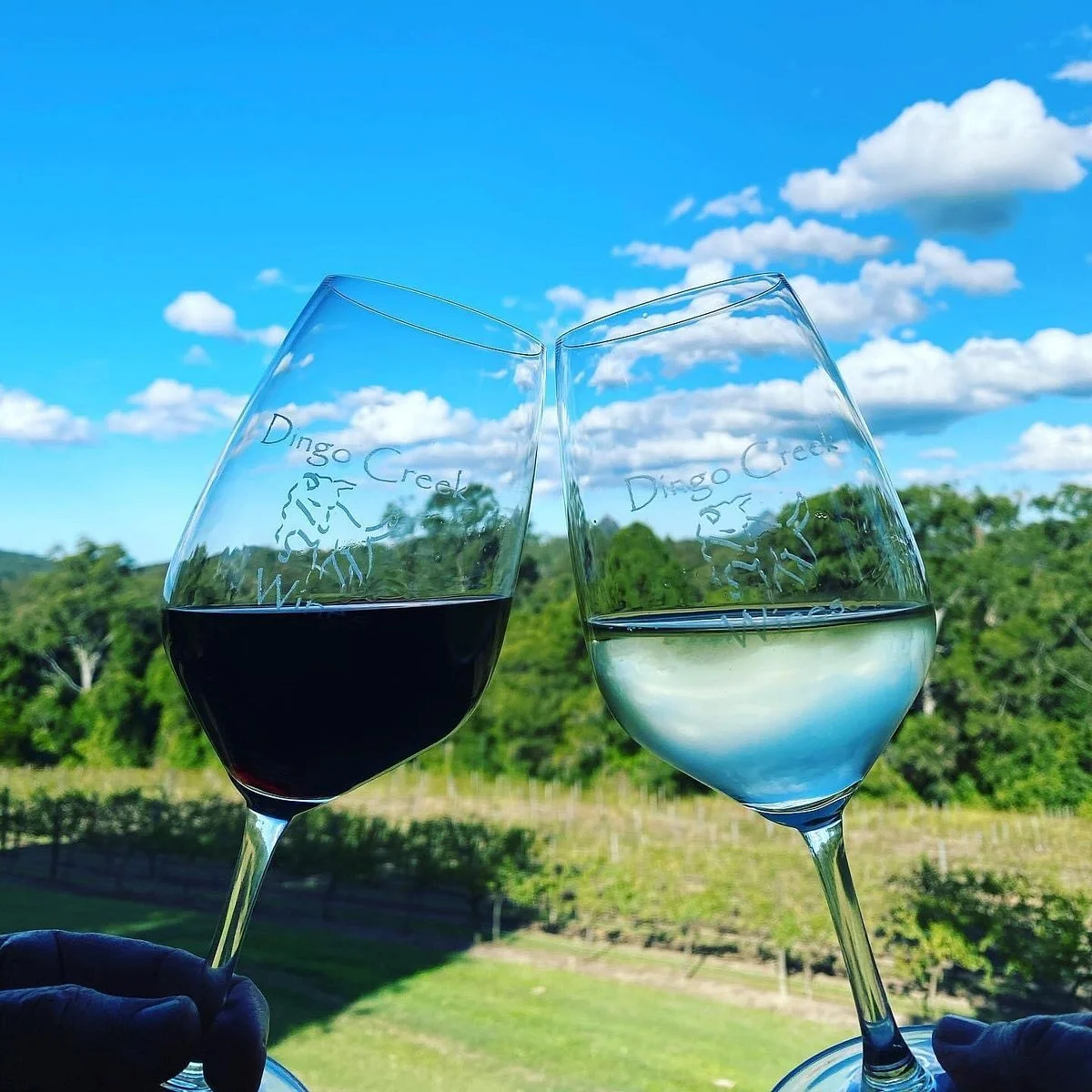 Dingo Creek Vineyard