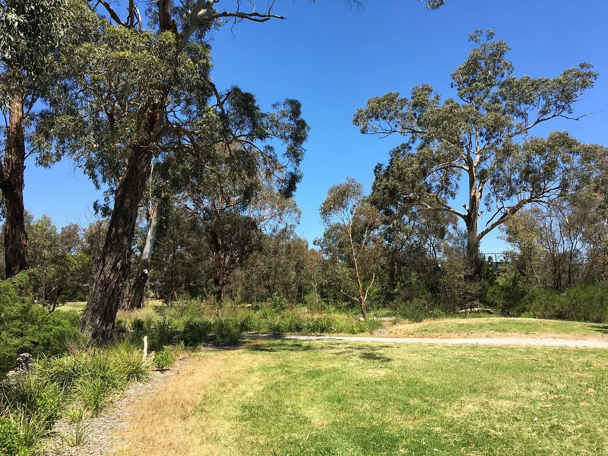 Yarrabing Wetlands Reserve