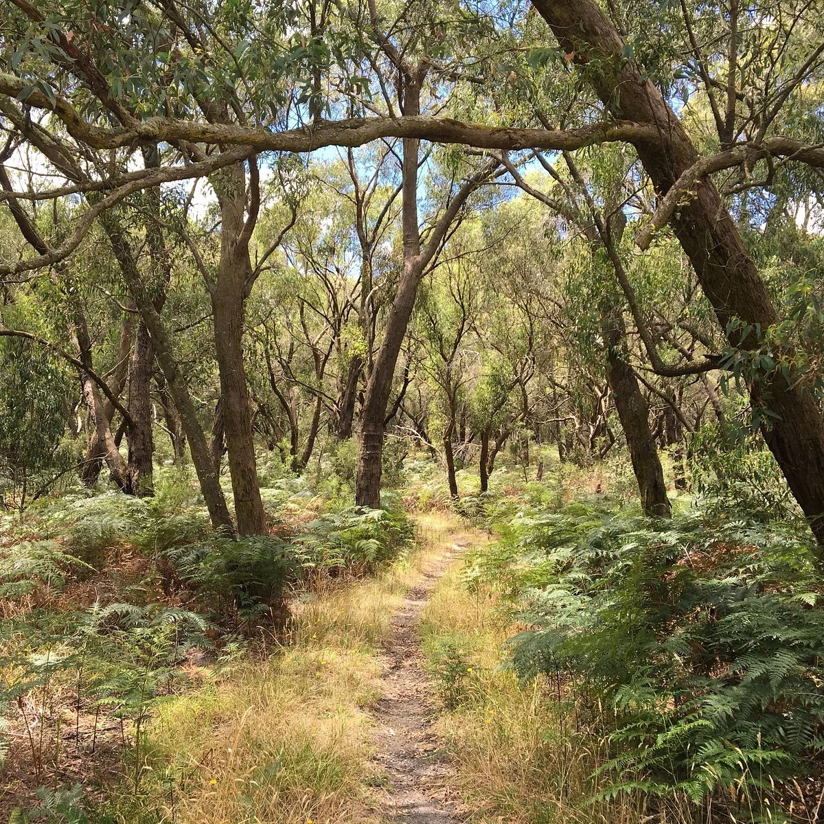 Wuchatsch Reserve