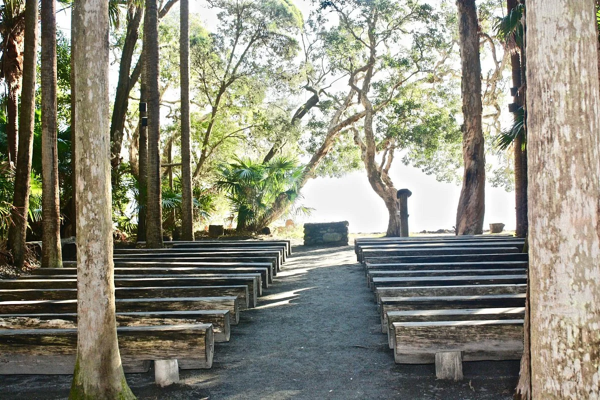 The Green Cathedral