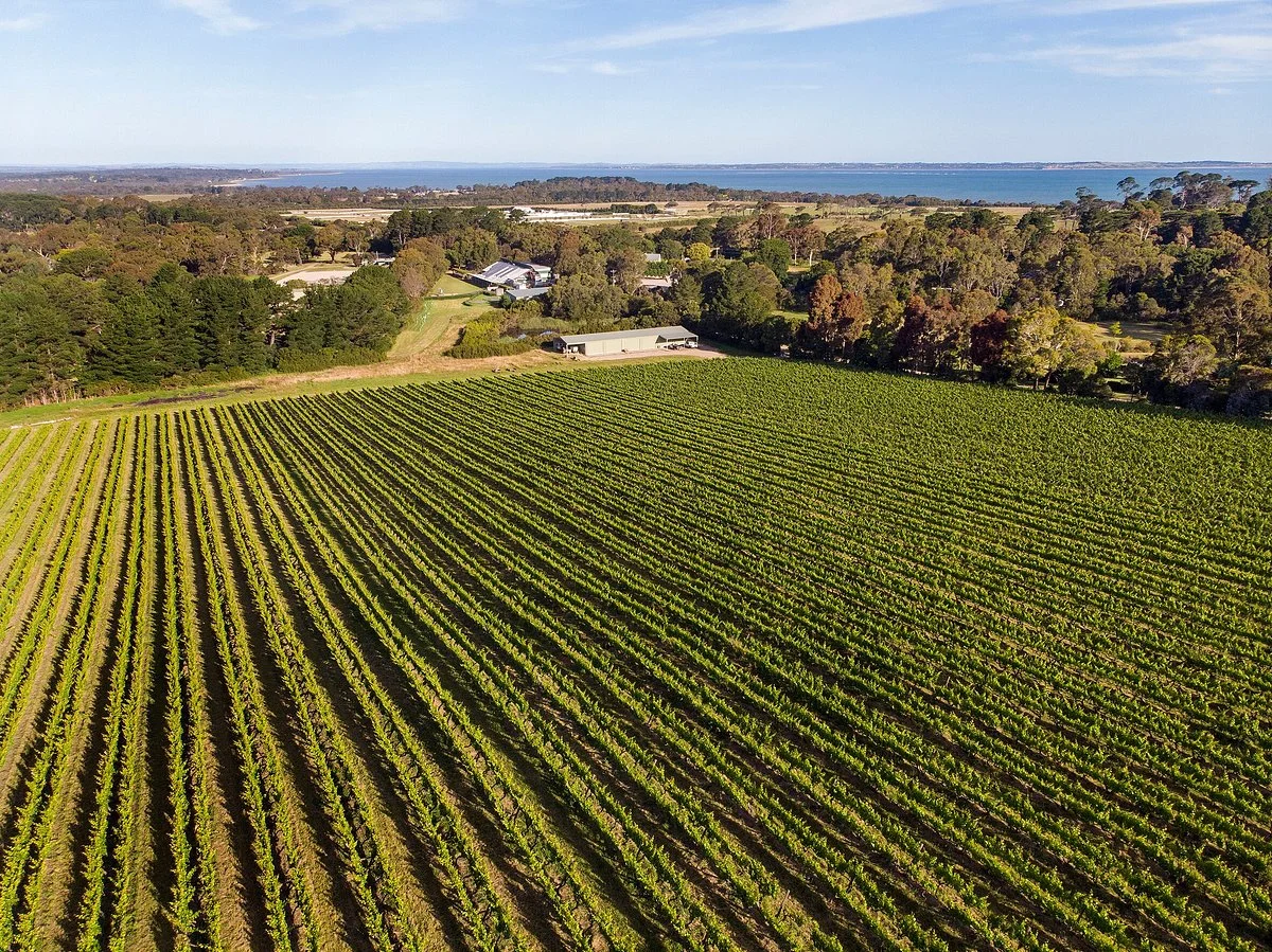 Stonier Wines