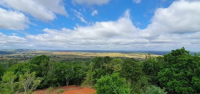 Mt Wooroolin Lookout