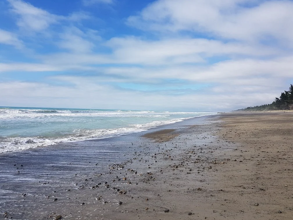 Leithfield Beach
