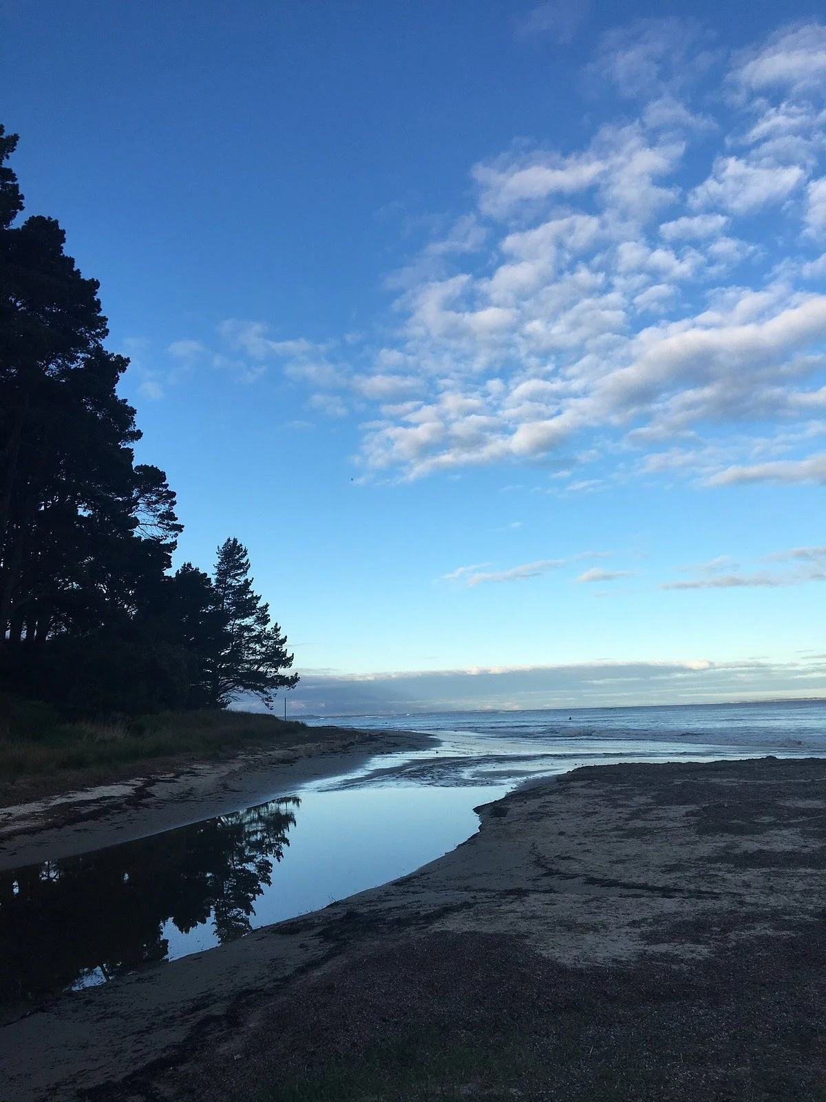 Pines Beach