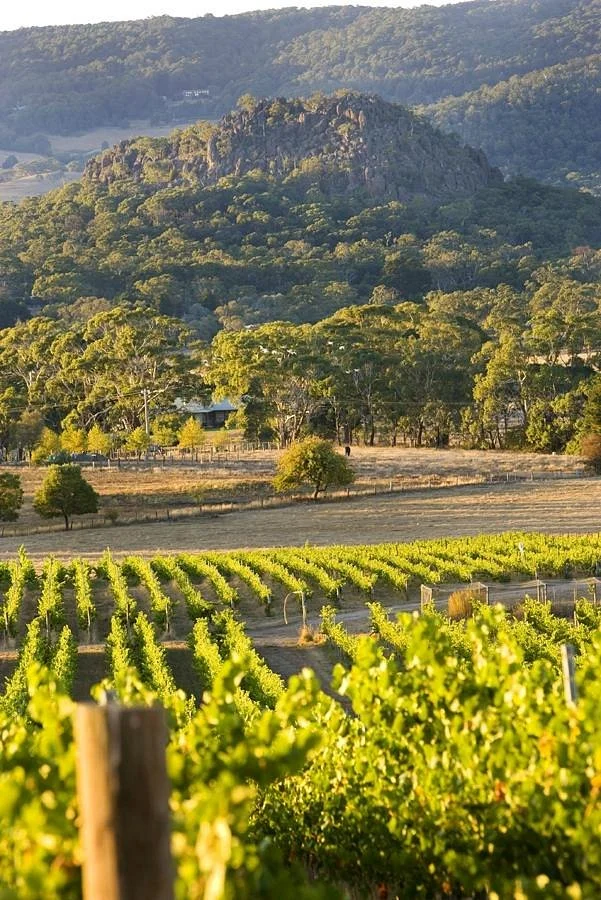 Hanging Rock Winery