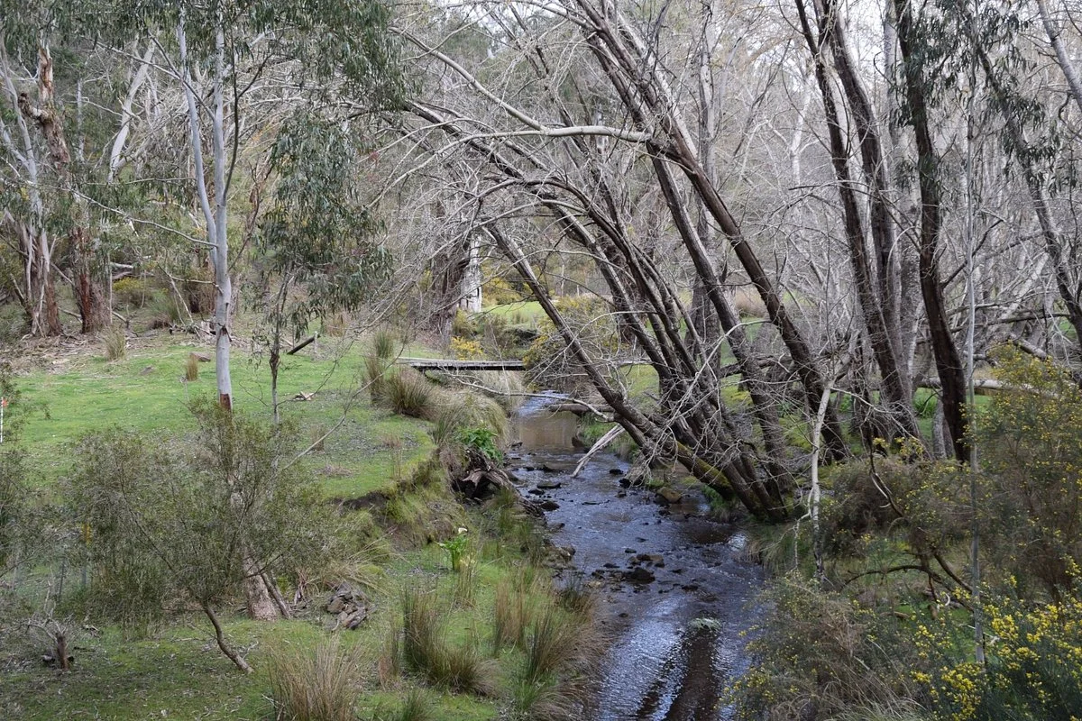 Aldgate Valley Nature Walk