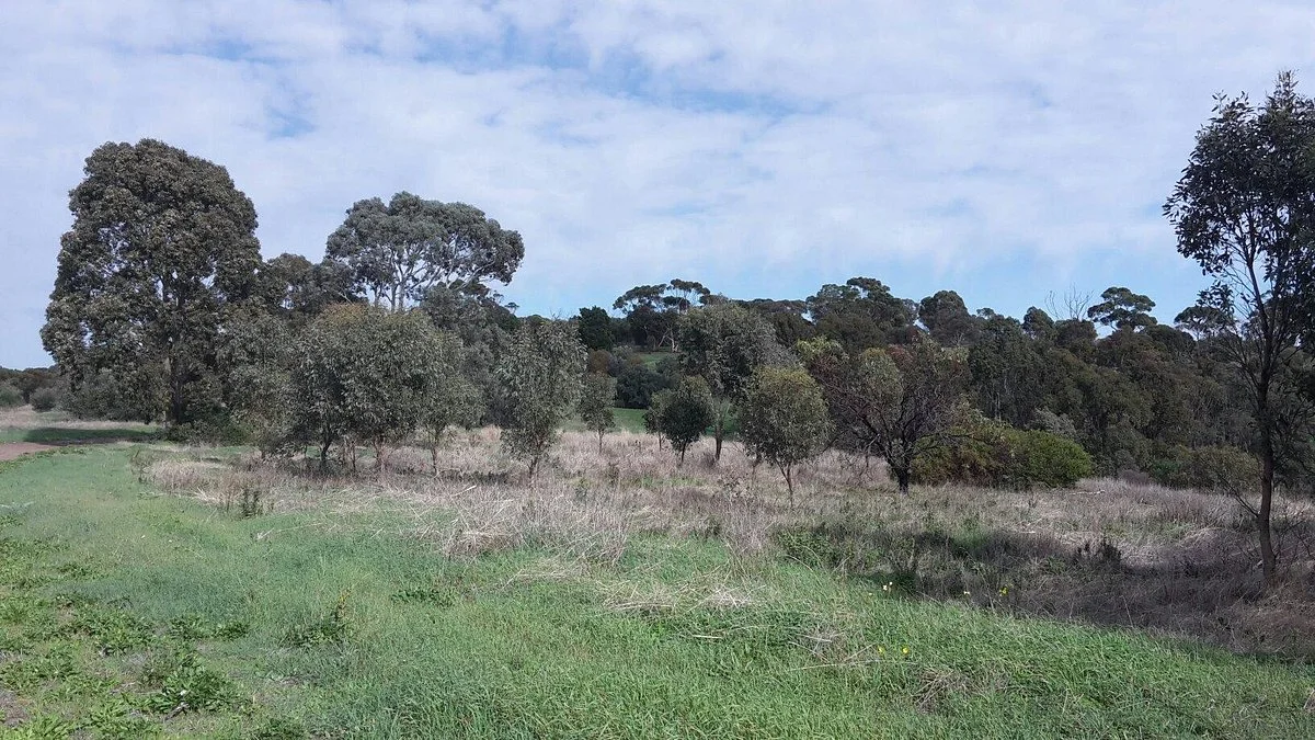 O'Halloran Hill Recreation Park
