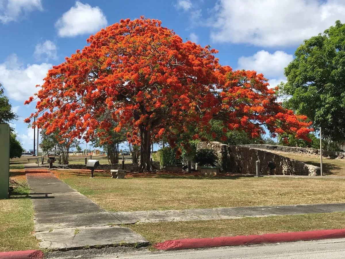 Sirena Park