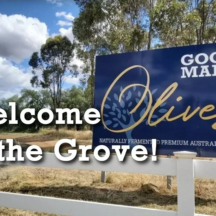 Gooramadda Olives