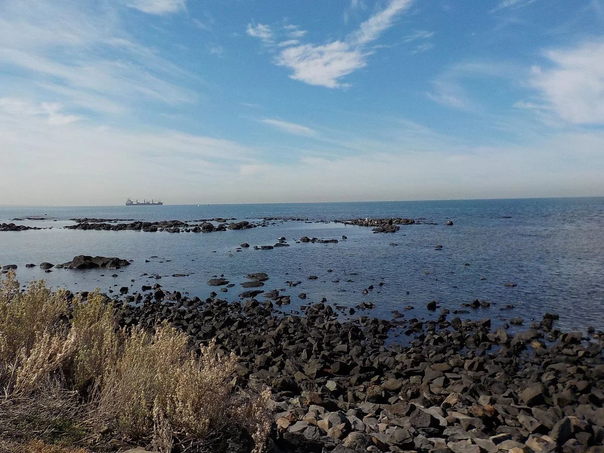 Hatt Reserve