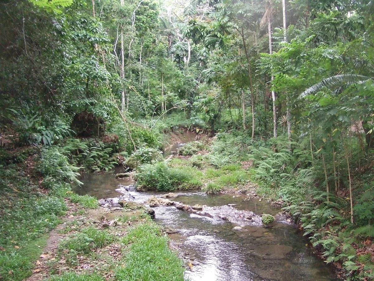 Honiara Botanical Gardens
