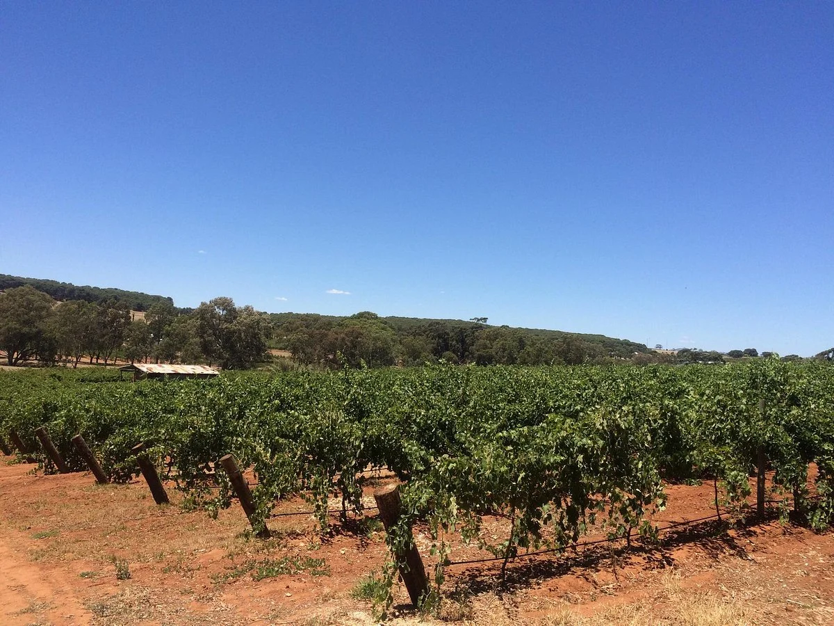 Greenock Creek Wines