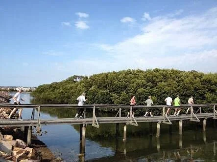 Honeysuckle Reserve