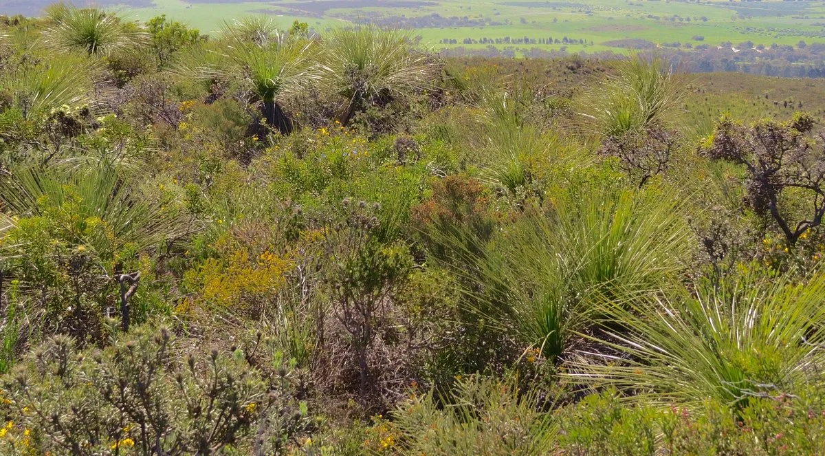 Badgingarra National Park