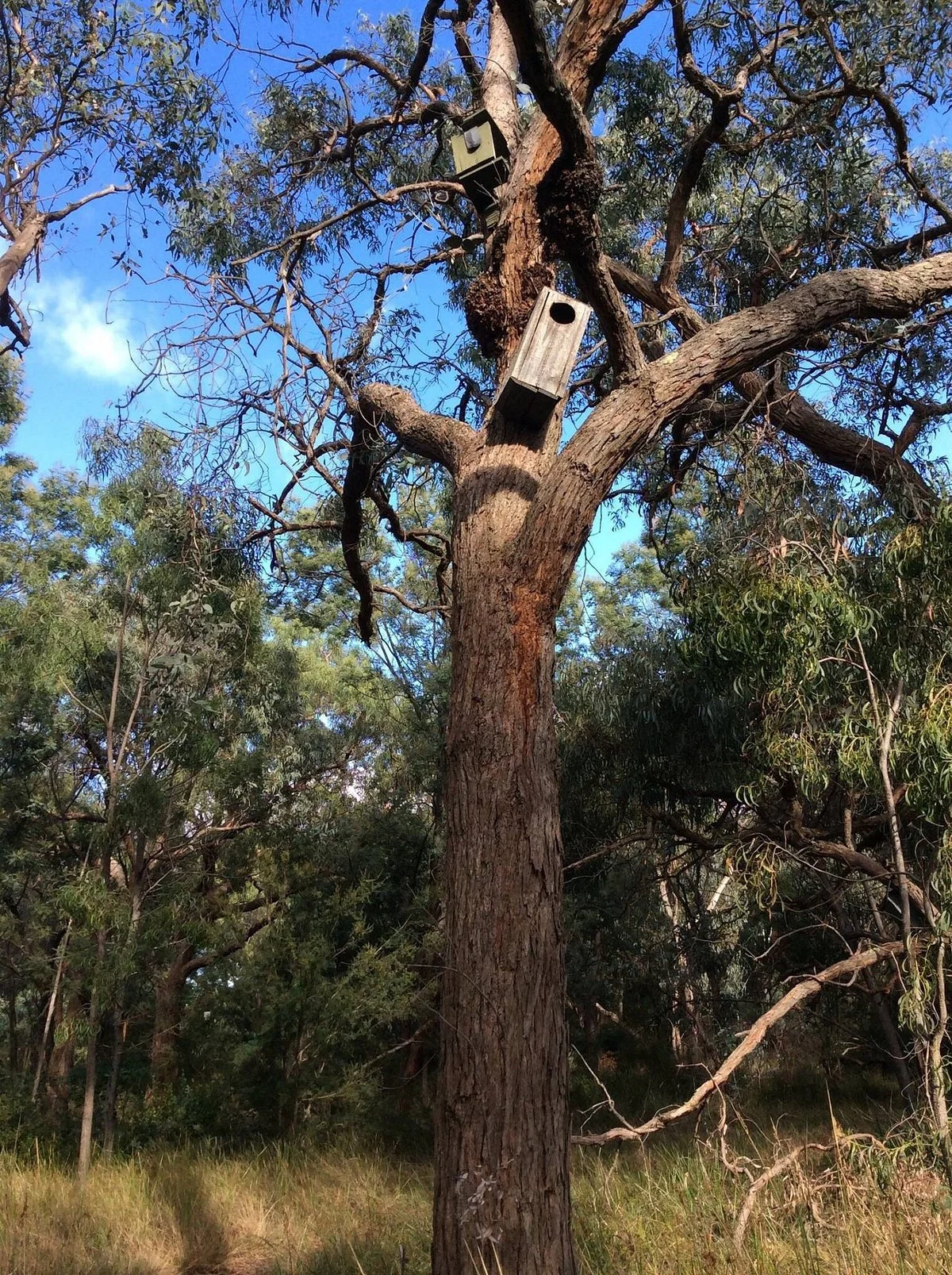 Alex Wilkie Nature Reserve