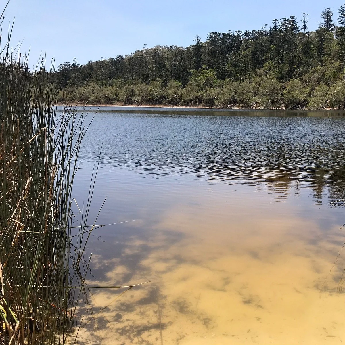 Lake Allom
