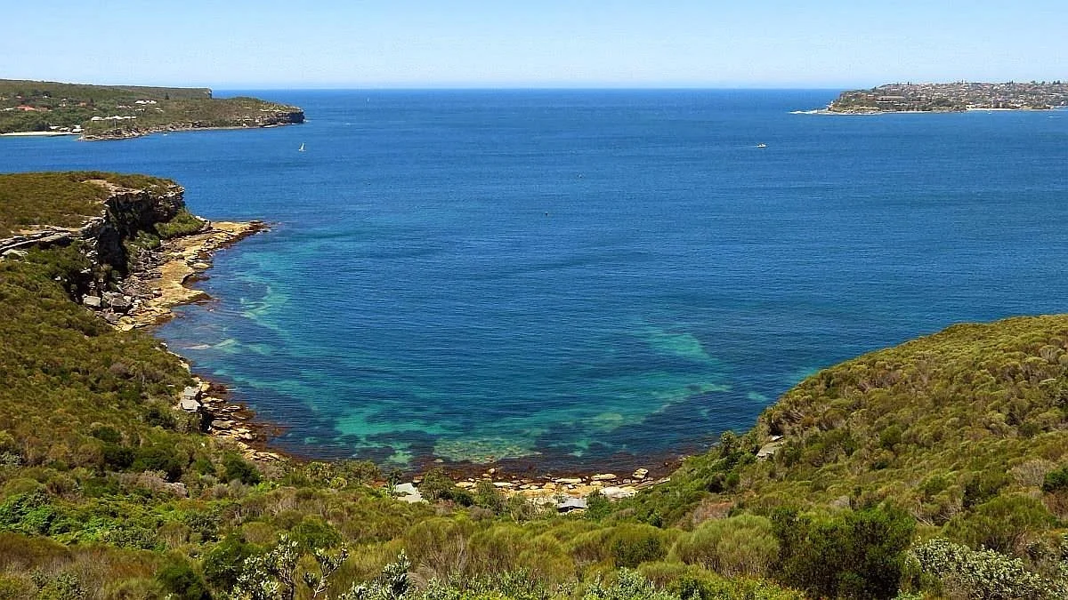 Manly Scenic Walkway