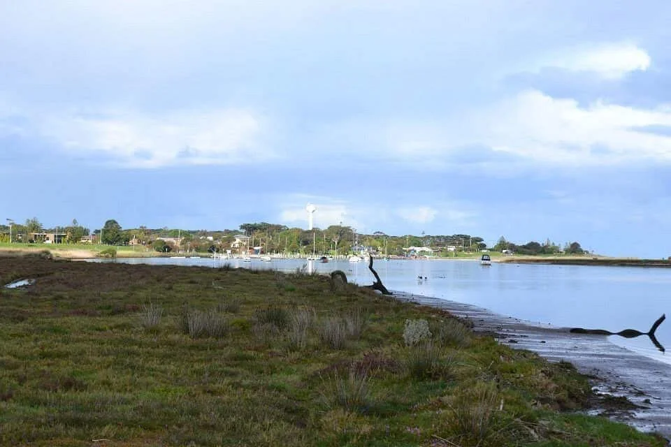 Grahams wetland reserve