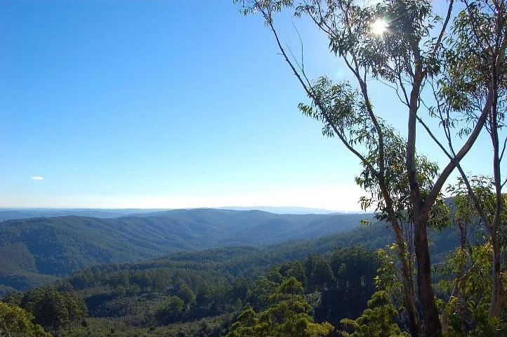 Noojee Picnic Grounds