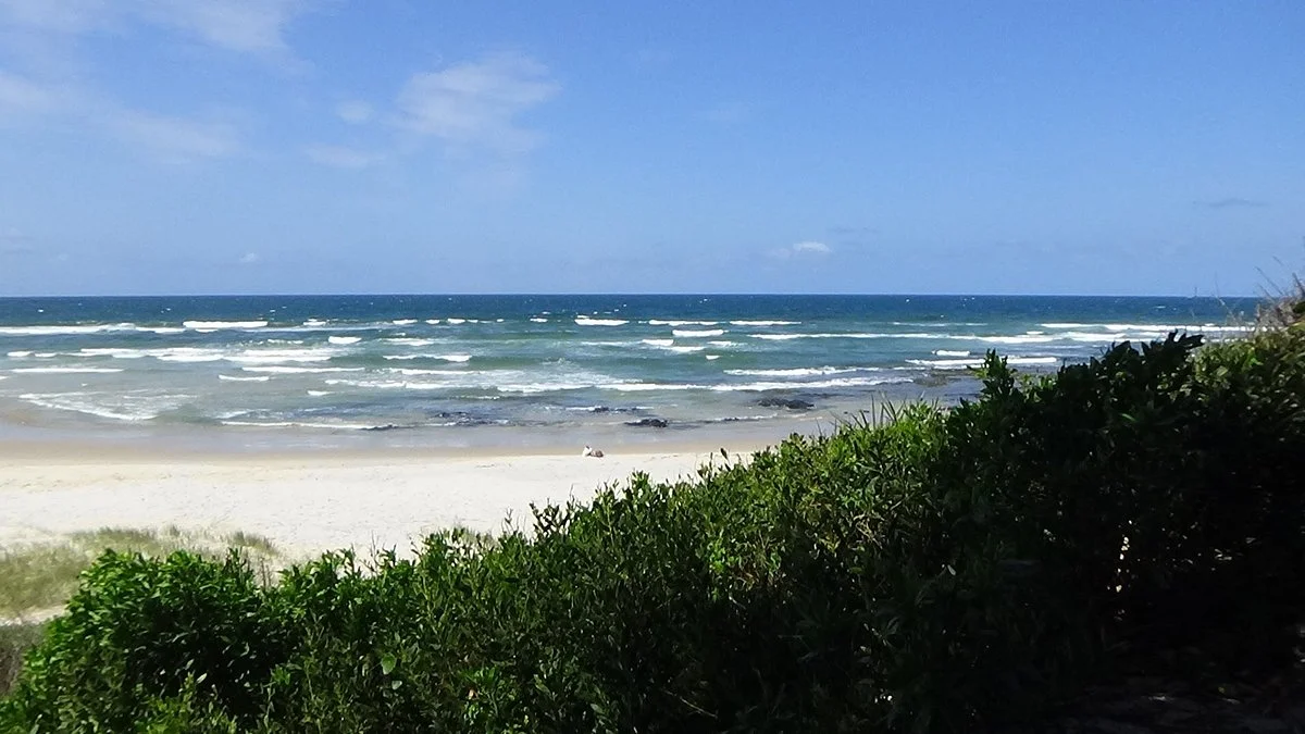 Angels beach