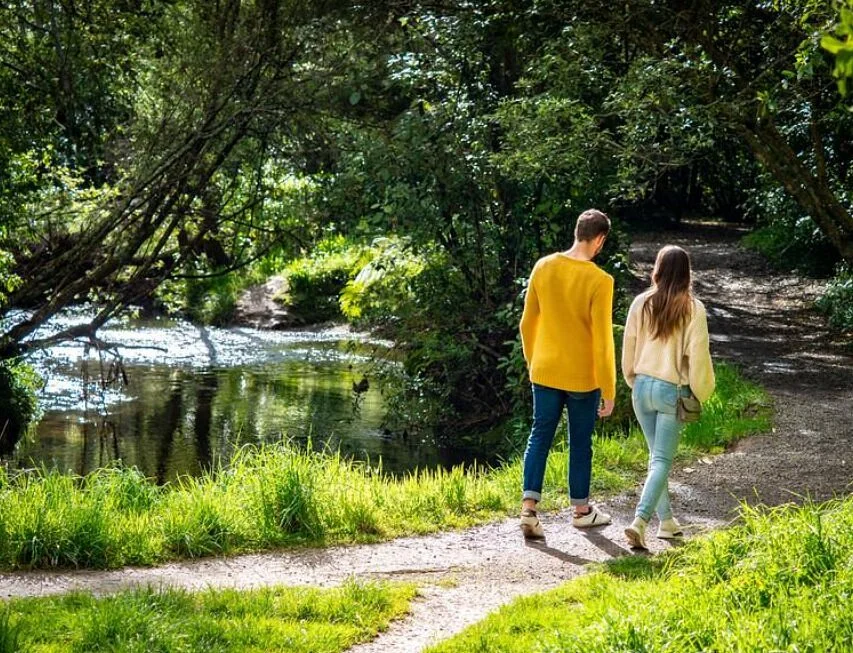 Bledisloe Park Walk