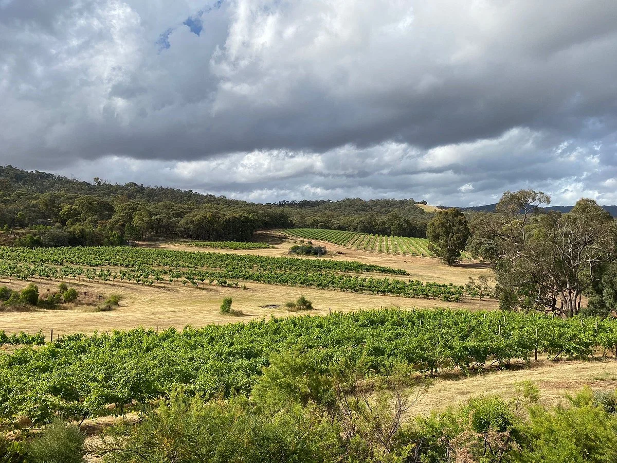 Grape Farm Winery