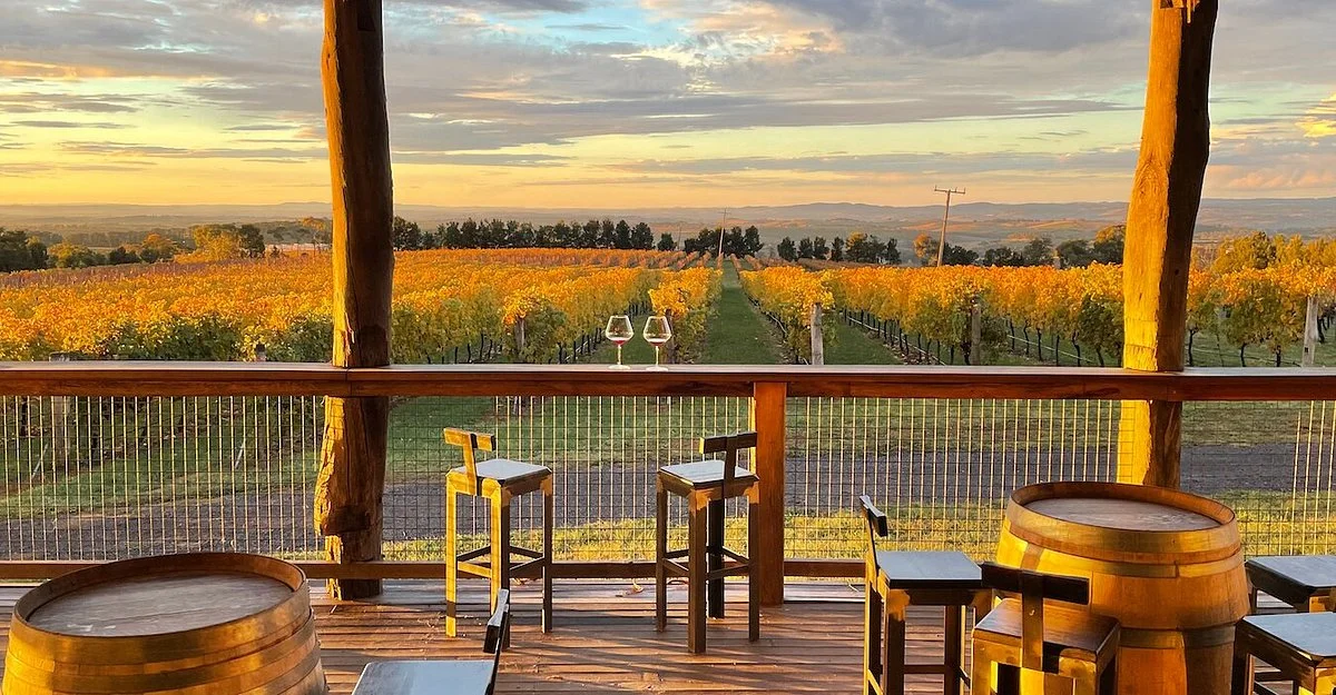 De Salis Wines