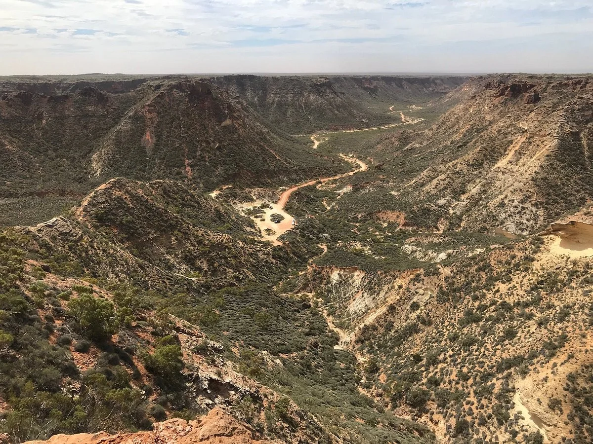 Thomas Carter Lookout Walk
