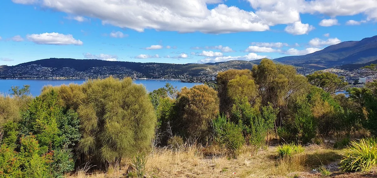 Rosny Point Lookout