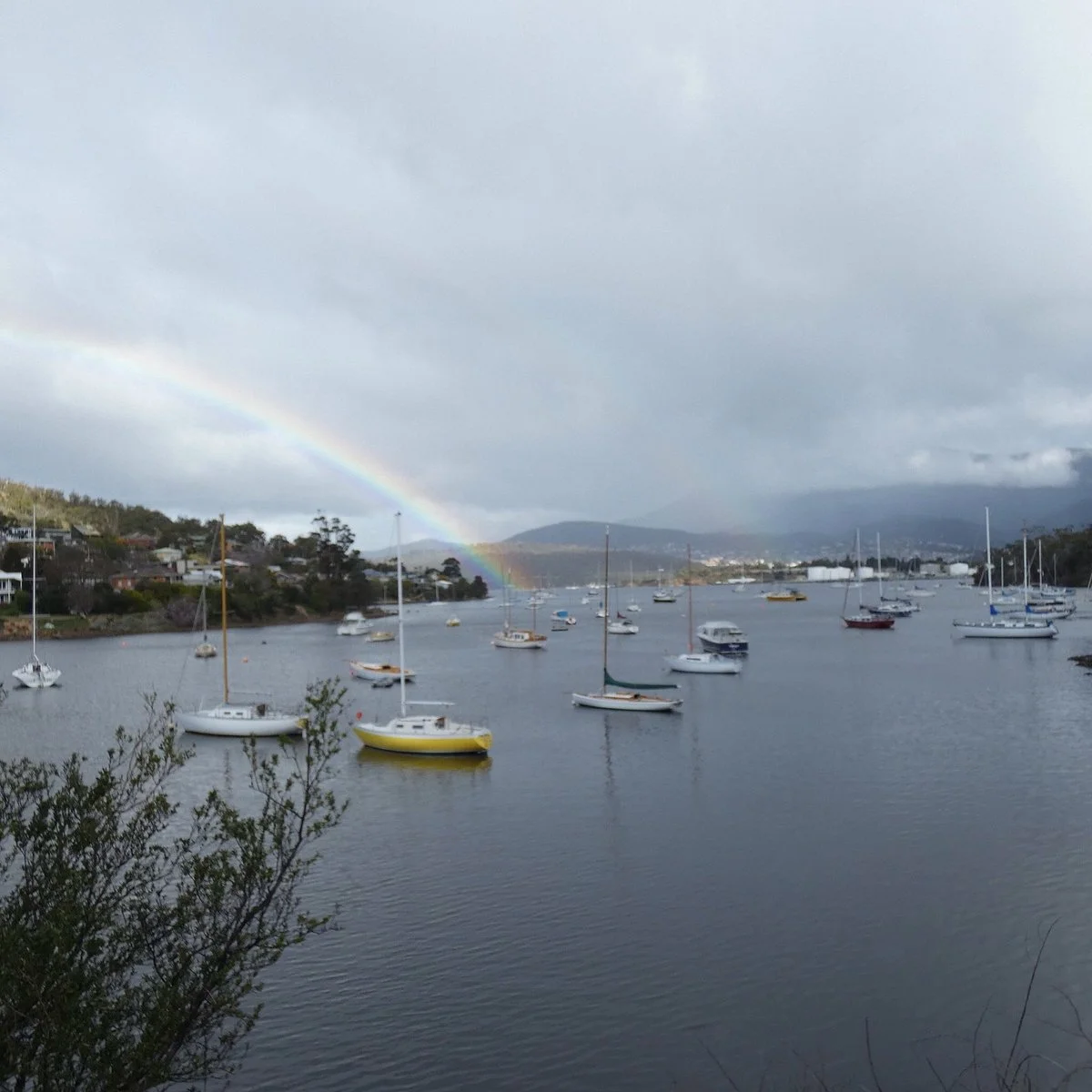 Shag Bay Track